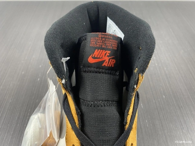 DB2889-700 Gore-Tex High Jordan 1 Light Element Curry 0809